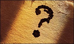 permitted development question permitted development question